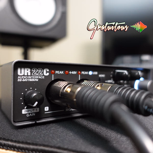 Steinberg UR22C Audio Interface