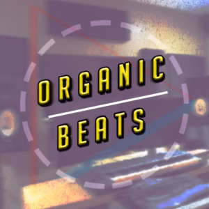Creating-Organic-Beats - FL Studio Course